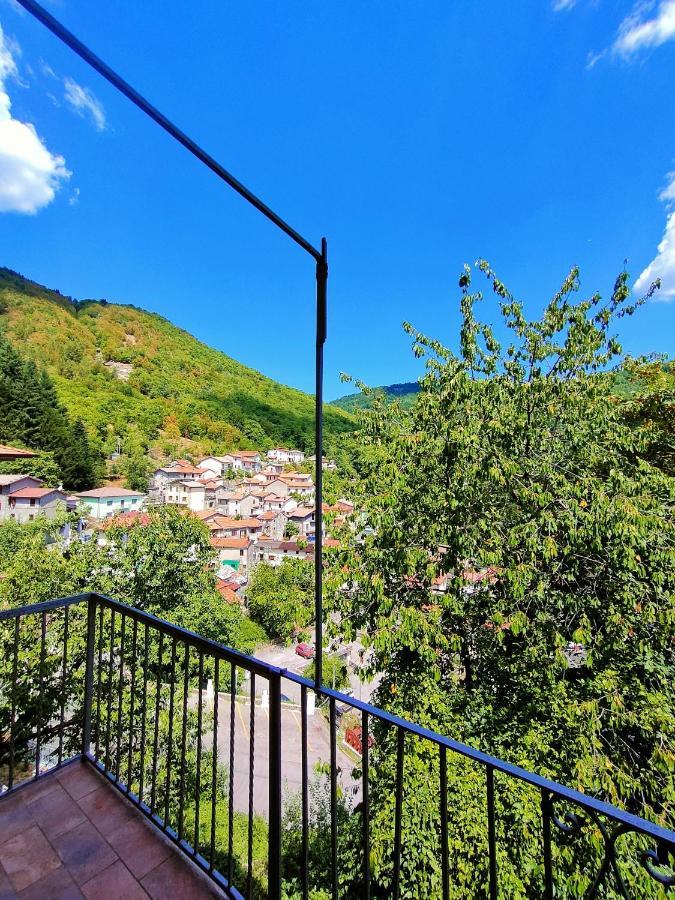 HOTEL PALAZZO DEL DOMA - Lake Vagli Vagli di Sotto Eksteriør bilde